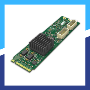 Eco Capture Dual HDMI M.2 (11510)